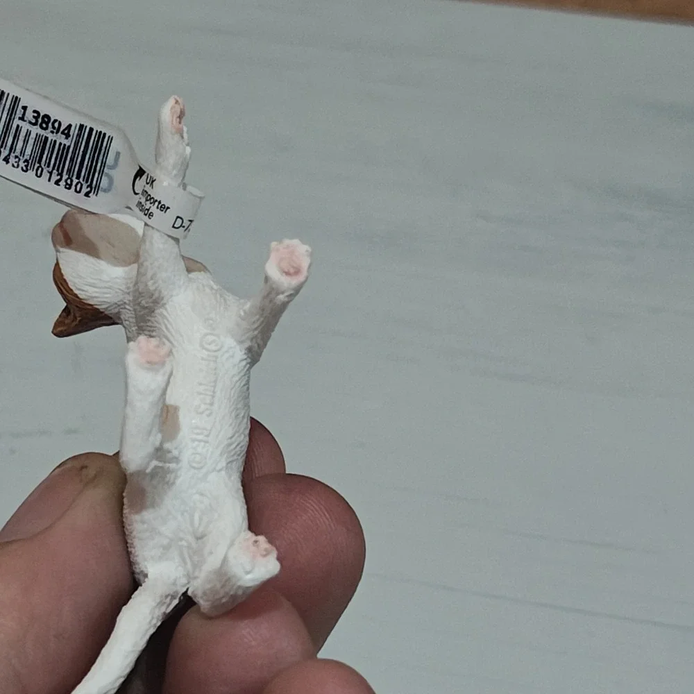 Schleich American Shorthair‎ Cat Animal Figure 13894 New
